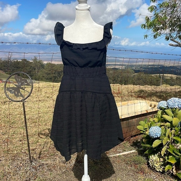 WILD FABLE Black Ruffle Mini Skater Dress
NWT - Picture 1 of 8